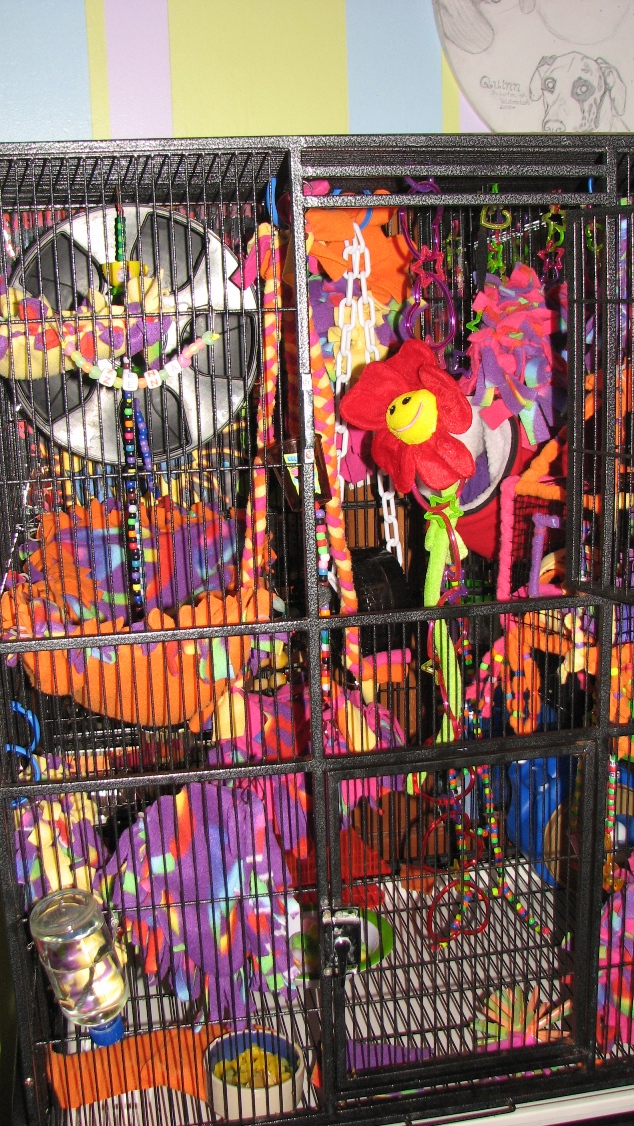 Diy Sugar Glider Cage / Sugar Glider Archives Clubfauna For sugar